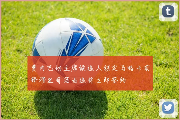 费内巴切主席候选人锁定马略卡前锋穆里奇若当选将立即签约
