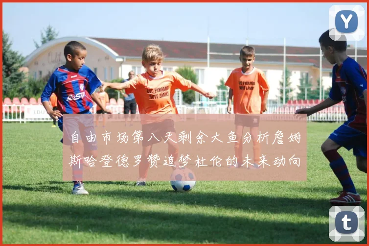 自由市场第八天剩余大鱼分析詹姆斯哈登德罗赞追梦杜伦的未来动向