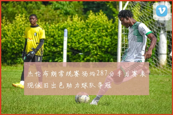 杰伦布朗常规赛场均287分季后赛表现依旧出色助力球队争冠